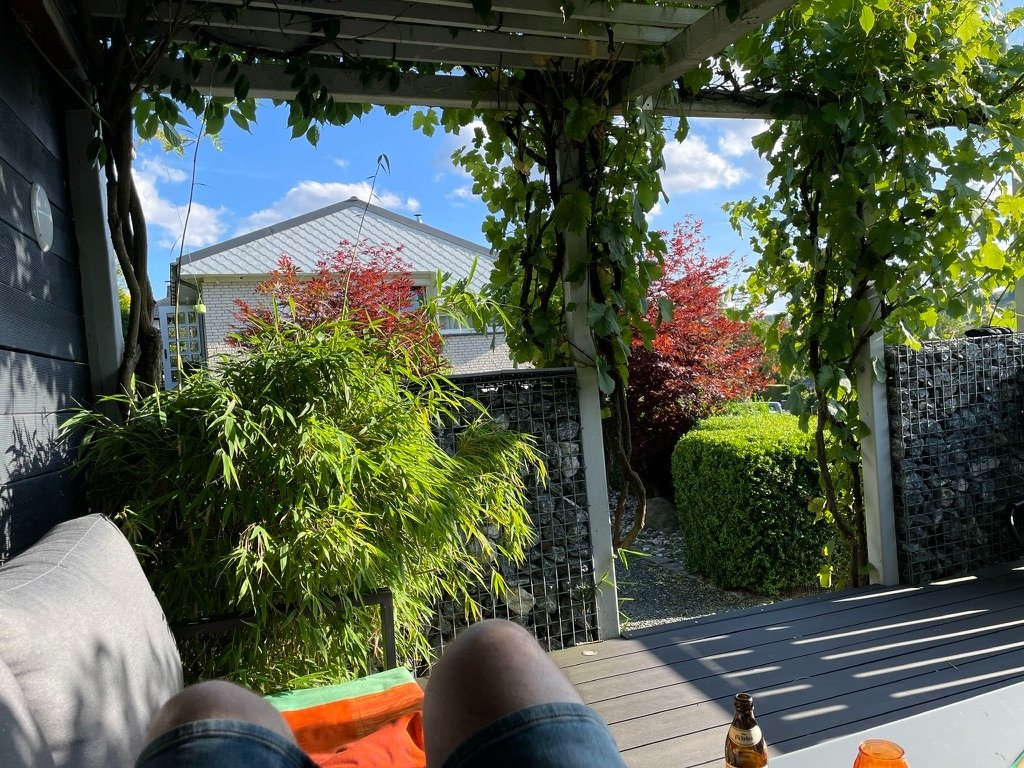 Blick von der Terrasse in den Garten
