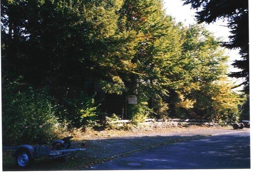 Zugewachsene Einfahrt zum Grundstück, Aufnahme aus dem Jahr 2001