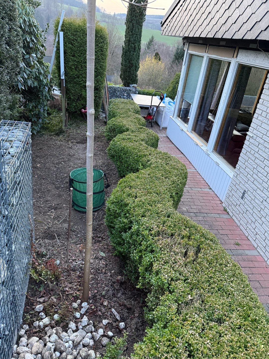 Neue Bäume entlang der Hecke am Haus